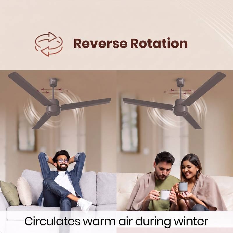 Reo by Havells Unnovate|Remote Controlled|Reverse Rotation Mode| Timer Setting| Low Noise with 2 Year Warranty BLDC Motor 1200 mm Ceiling Fan (Stone Grey) - Photo 3